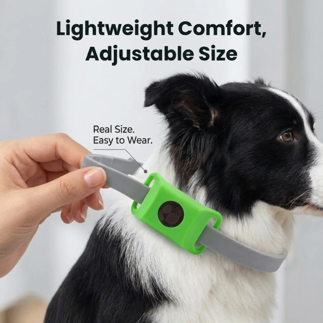 Natural Flea and Tick Repellent