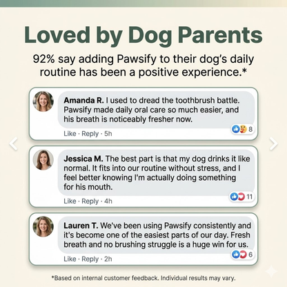 Pawsify Oral Care Formula