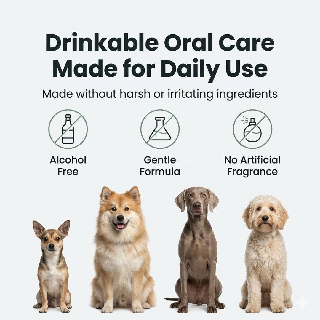 Pawsify Oral Care Formula
