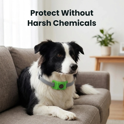 Natural Flea and Tick Repellent