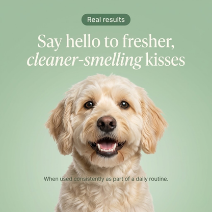 Pawsify Oral Care Formula